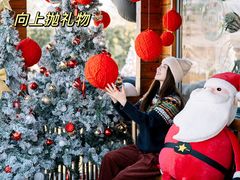 -禧宴Joyous Restaurant(禧园店)