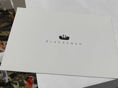 -BLACKSWAN黑天鹅(环球店)