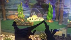 -酷嗒动物文化乐园(cutezoo西溪乐天城店)