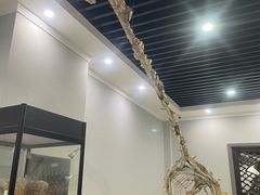 -游龙石文化科普馆