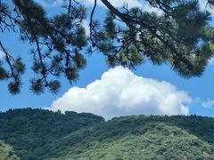 -妙峰山风景名胜区