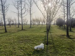 -洨河生态公园