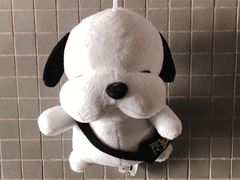 -简·无界健身工作室·运动康复·体态(石厦店)