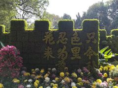 -汇龙潭