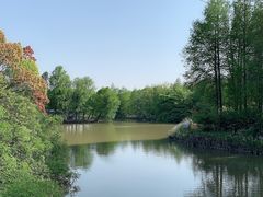 -上海海湾国家森林公园