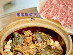 -金龙·打边炉(南京西路店)