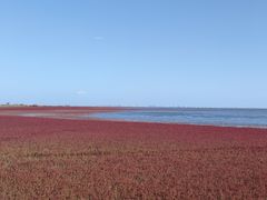 -红海滩国家风景廊道