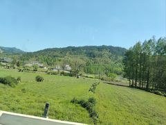 -塔川景区