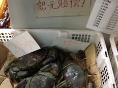 iphone_upload_pic-龙海鲜螃蟹王(宏茂桥店)