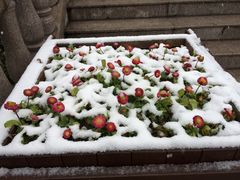 -绍兴启迪乔波冰雪世界