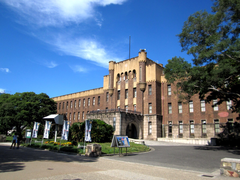 -大阪市立自然史博物馆