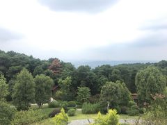 -铁山坪森林公园