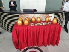 -合肥通源一汽丰田4S店(包河花园店)