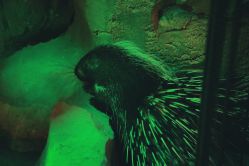 -酷嗒动物文化乐园(cutezoo西溪乐天城店)