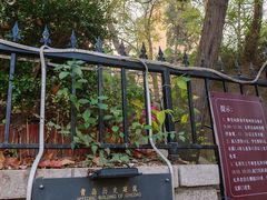 -青岛市江苏路基督教堂