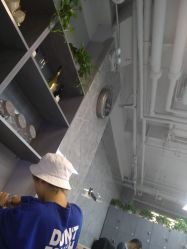 -INS羽毛接发·巴黎画染