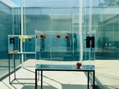 -金泽21世纪美术馆