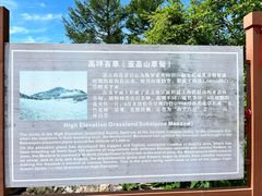 -白草畔自然风景区