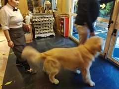 -火车头法国西餐厅