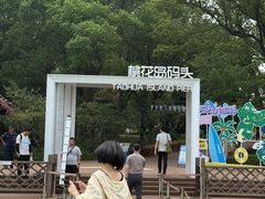 -金鸡湖桃花岛