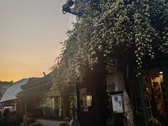 -万柳高尔夫俱乐部