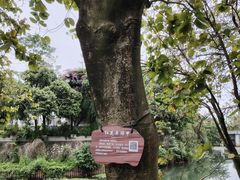 -南溪山景区