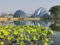 -上海植物园-4号门售票处
