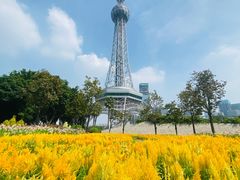 -文华公园(禅城区)