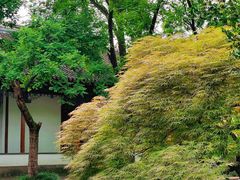 -惠山古镇·寄畅园