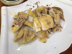 -全乐鱼馆·淳牌有机鱼直营店