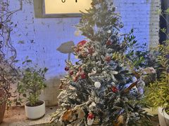 -春树下·树屋花房西餐厅(罍街AS1980店)