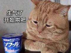 -万达影城(锦华万达广场IMAX店)