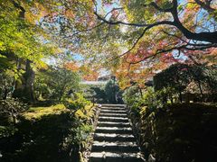 -常寂光寺