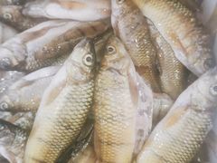 -畲乡一品鱼府土菜馆