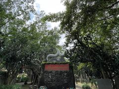 -海口火山口国家地质公园