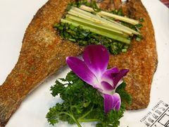 -香巴拉云南餐厅(华莱坞店)