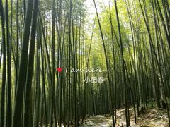 -广州市石门国家森林公园