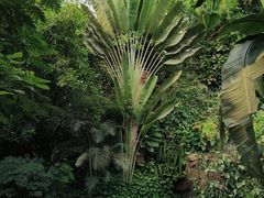 -郑州植物园