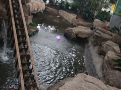 -森谷美食公园(杨行店)