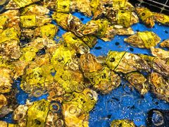 -川骄海鲜自助(河东店)