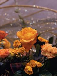 -芳香乐府疗愈空间·SPA·冥想