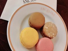 -Angelina(老佛爷店)