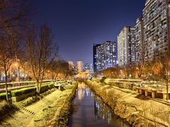 -40+精酿啤酒俱乐部(国投财富广场店)
