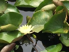 -长兴太湖图影湿地文化园