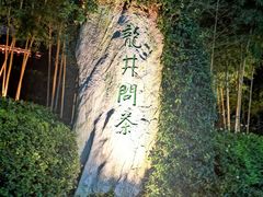 -十八棵（老龙井）御茶园(老龙井店)
