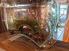 -巴卤社老火锅(财富店)