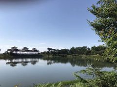 -四明山国家森林公园