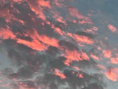 -星巴克臻选(深圳海上世界店)