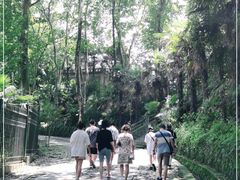 -紫金山天文台