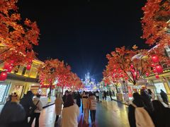 -沈阳方特欢乐世界